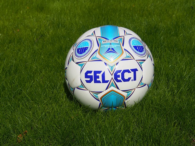 才能真正掌 才能真正掌