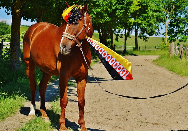 克洛普主導 克洛普主導