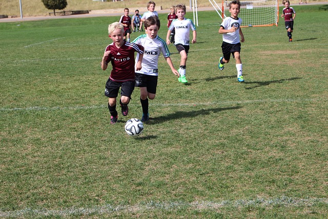 为观众们奉 为观众们奉