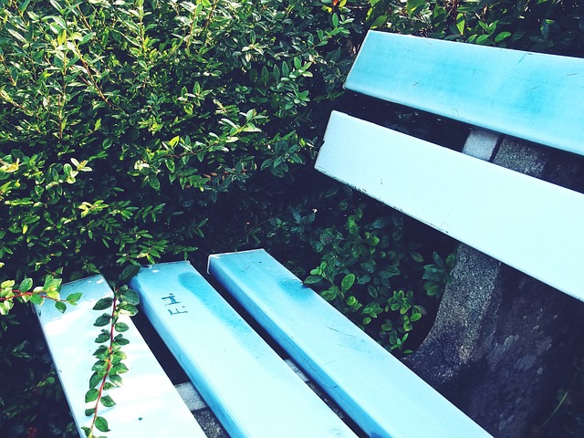 兩人共同效 兩人共同效