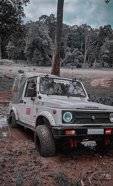 支持和指导 支持和指导